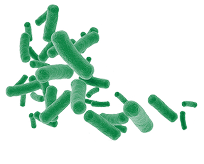 Microbial Dark Matter Symposium