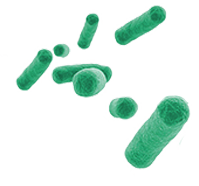 Microbes in Wastewater: Antibiotic Resistance, Public Health, and Climate Change